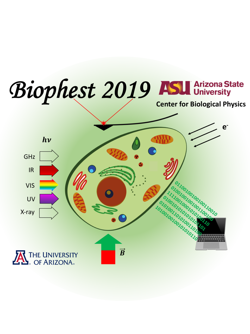 biophest2019logo